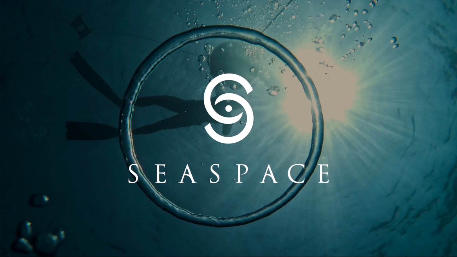 Seaspace Blogs Check Out Our Informative Posts